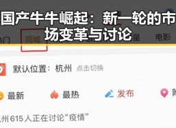国产牛牛崛起：新一轮的市场变革与讨论