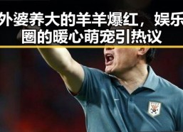 外婆养大的羊羊爆红，娱乐圈的暖心萌宠引热议