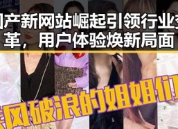 国产新网站崛起引领行业变革，用户体验焕新局面