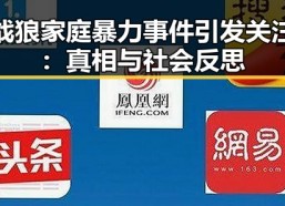 战狼家庭暴力事件引发关注：真相与社会反思