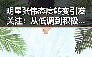 明星张伟态度转变引发关注:从低调到积极回应事件