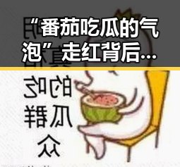 “番茄吃瓜的气泡”走红背后的网络文化新现象