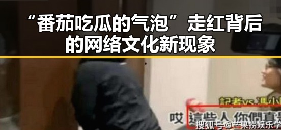 “番茄吃瓜的气泡”走红背后的网络文化新现象