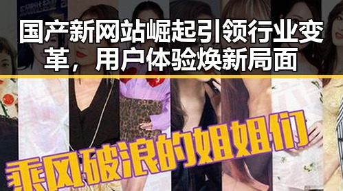 国产新网站崛起引领行业变革，用户体验焕新局面