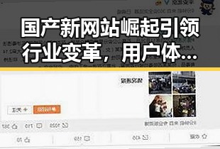 国产新网站崛起引领行业变革，用户体验焕新局面