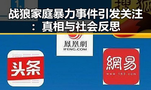 战狼家庭暴力事件引发关注:真相与社会反思