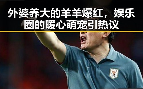 外婆养大的羊羊爆红,娱乐圈的暖心萌宠引热议
