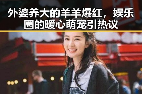 外婆养大的羊羊爆红,娱乐圈的暖心萌宠引热议