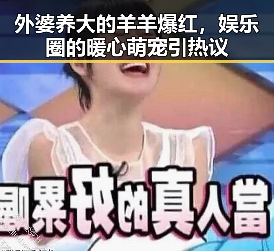 外婆养大的羊羊爆红,娱乐圈的暖心萌宠引热议